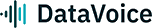 DataVoice logo