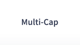 Multi-Cap